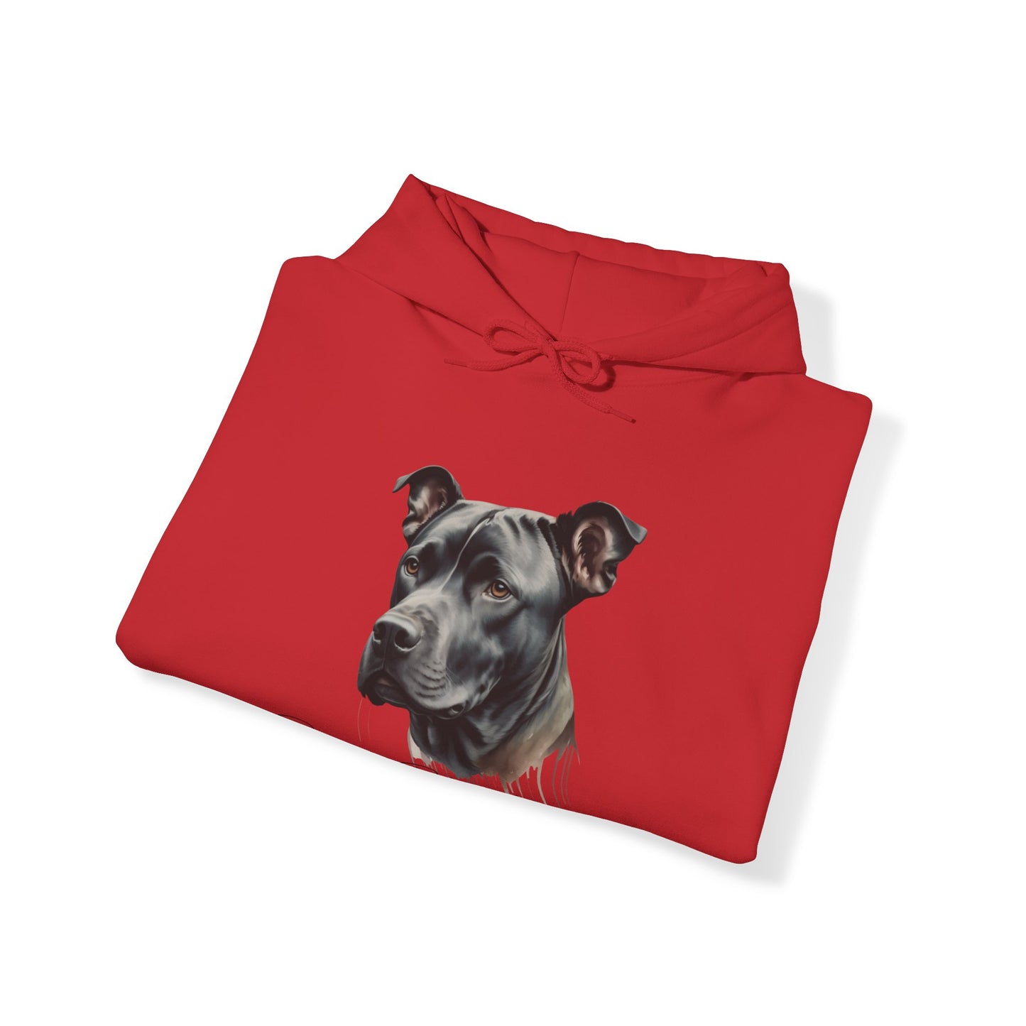 Best Friends Forever π€ππΆ | Hooded Sweatshirt