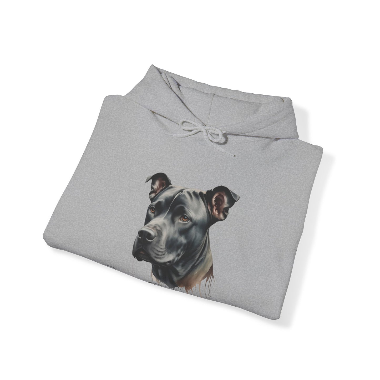 Best Friends Forever π€ππΆ | Hooded Sweatshirt