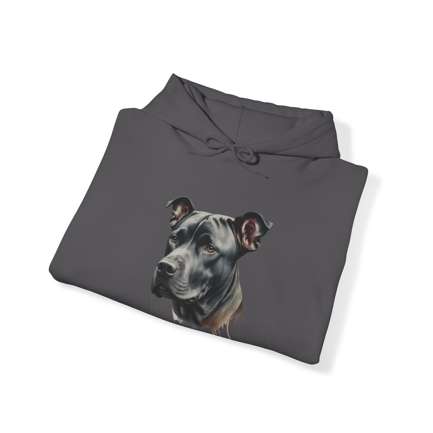 Best Friends Forever π€ππΆ | Hooded Sweatshirt