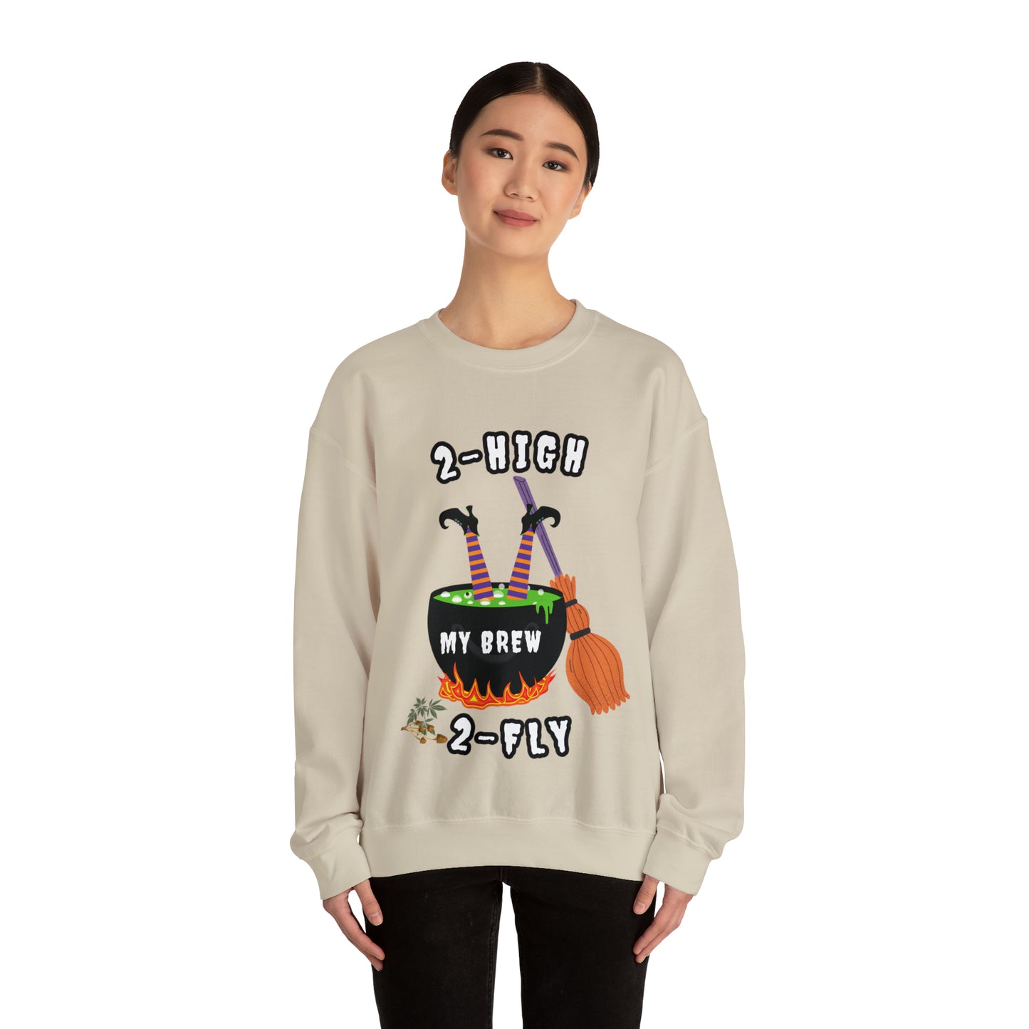 2-High 2-Fly Witch Sweater