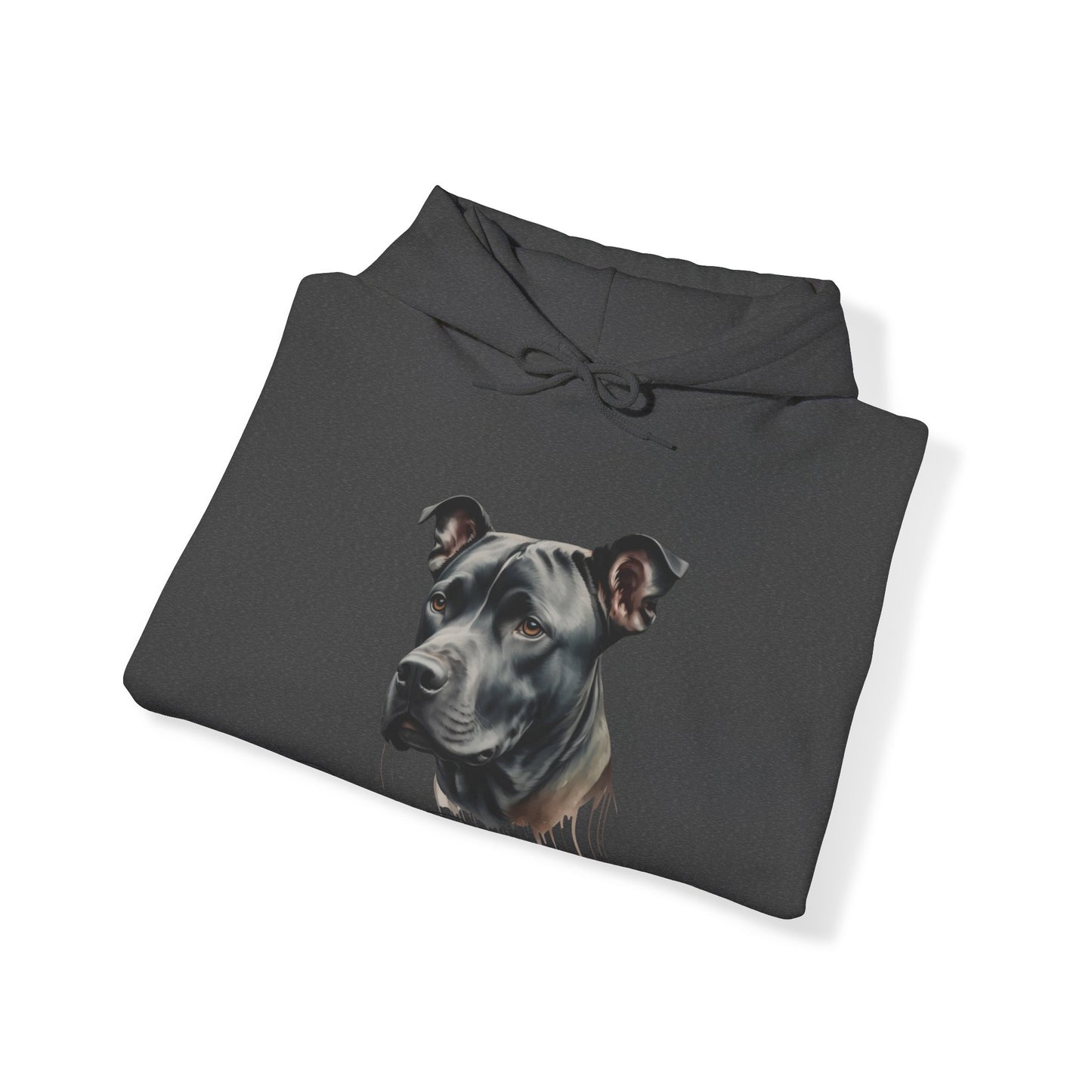 Best Friends Forever π€ππΆ | Hooded Sweatshirt