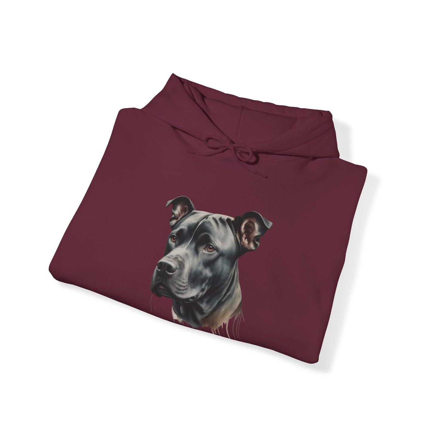 Best Friends Forever π€ππΆ | Hooded Sweatshirt