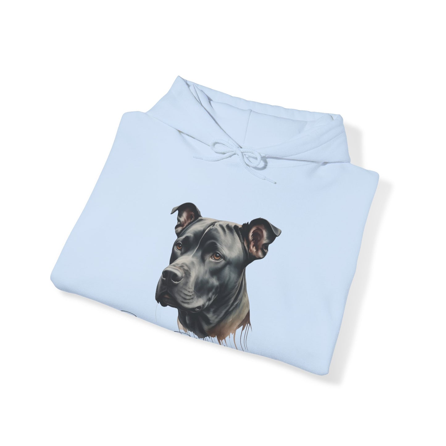 Best Friends Forever π€ππΆ | Hooded Sweatshirt