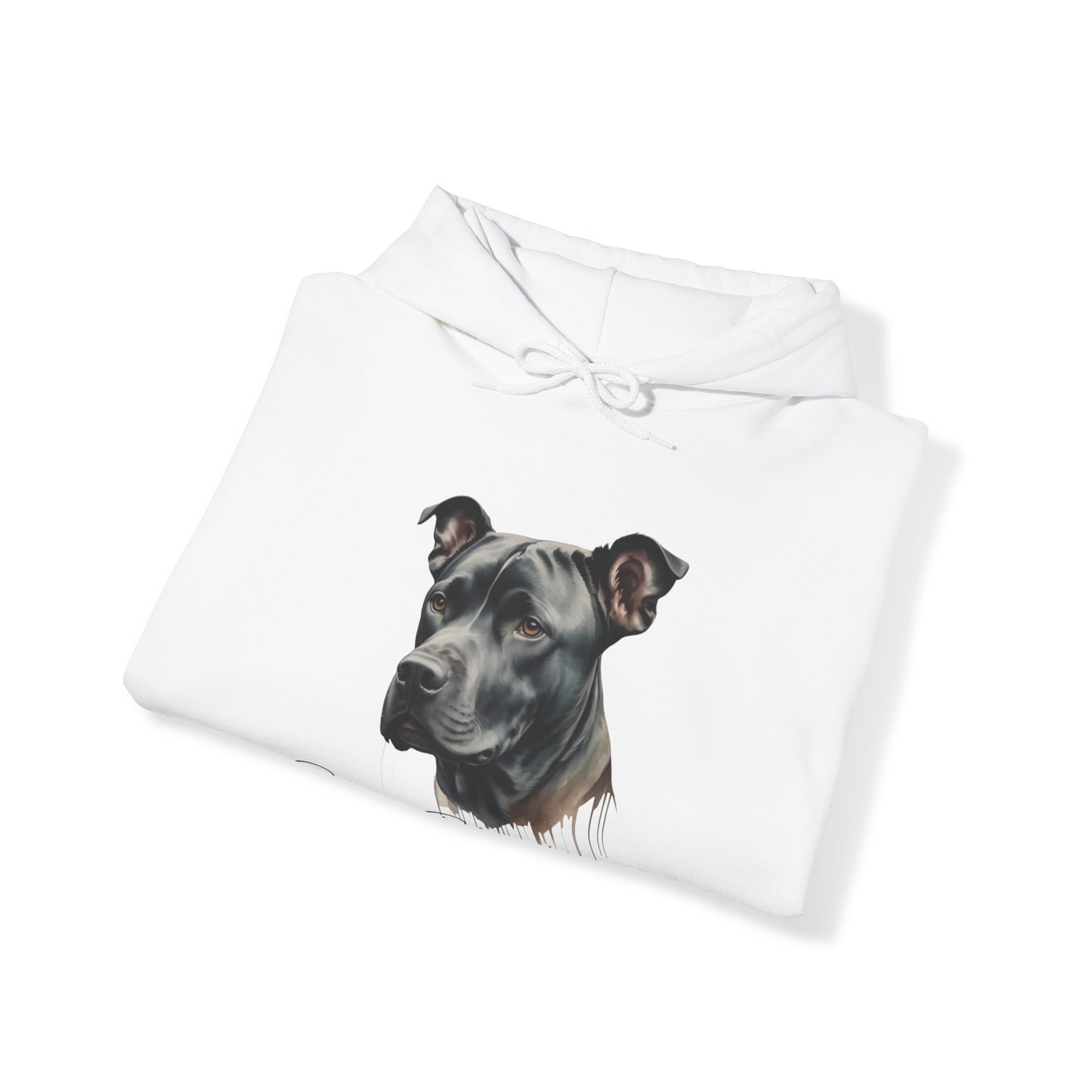 Best Friends Forever π€ππΆ | Hooded Sweatshirt