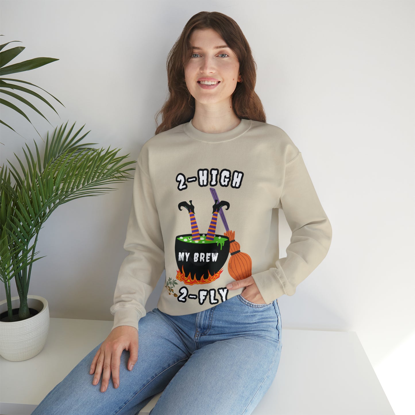 2-High 2-Fly Witch Sweater