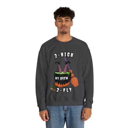 2-High 2-Fly Witch Sweater